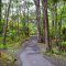 Hilo - Parque dos Vulcões