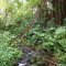 Hilo - Akaka Falls