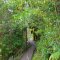 Hilo - Akaka Falls