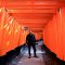 Quioto - Fushimi Inari