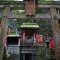 Quioto - Fushimi Inari