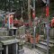 Quioto - Fushimi Inari