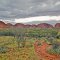 Deserto Australiano