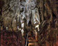 Waitomo