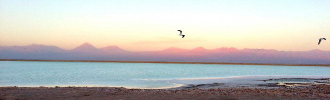 Laguna Cejar Laguna Cejar