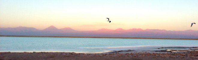 Laguna Cejar