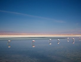 Salar do Atacama Salar do Atacama