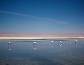 Salar do Atacama