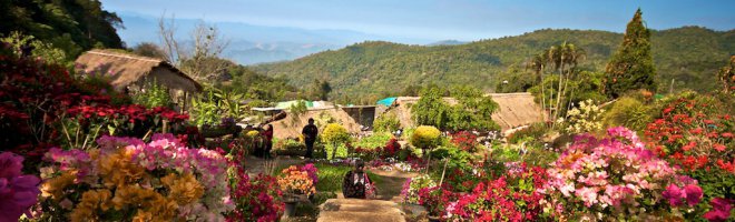 Chiang Mai – nossa queridinha Chiang Mai – nossa queridinha