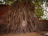 Ayutthaya Ayutthaya