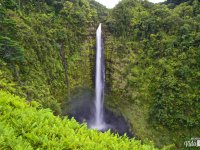 Hilo – Akaka Falls Hilo – Akaka Falls