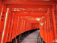 Quioto – Fushimi Inari Quioto – Fushimi Inari