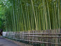 Quioto – Arashiyama Quioto – Arashiyama