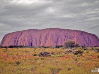 Deserto Australiano Deserto Australiano