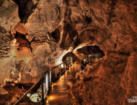 Post #2 Nova Zelândia: Waitomo – cavernas, estalactites e vermes luminosos!